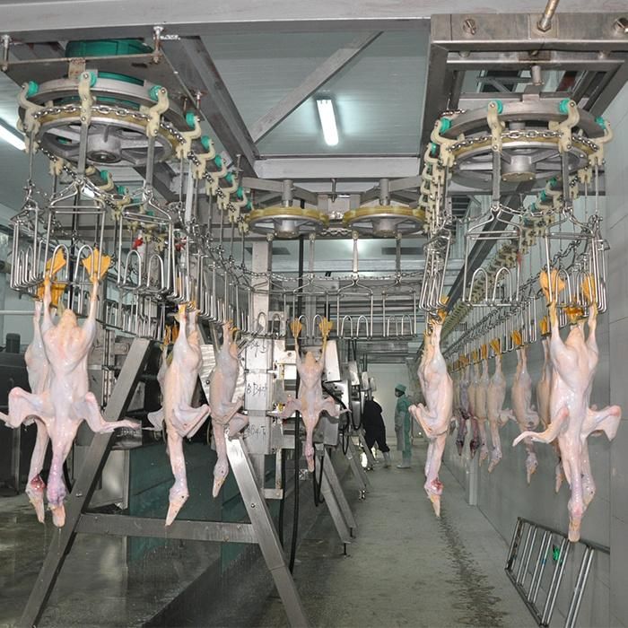 Duck Slaughtering Equipment Broiler Duck Slaughter