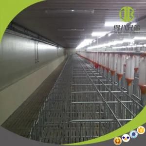 Wholesale Gestation Stall or Individual Stall for Sow for Sale