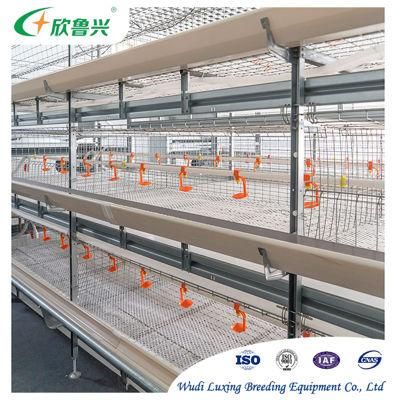 Poultry Battery Type Breeding Automatic Chicken Layer Cage for Sale in Philippines