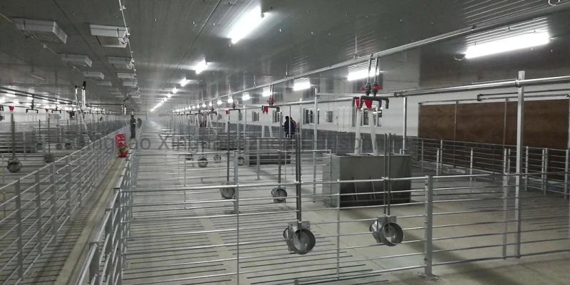 European Design Galvanized 1.8m*2.2m Pig Pen for Pig Breeding