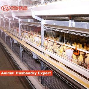 Automatic Chicken Farm Poultry Battery Cage System/Battery Layer Chicken Cage