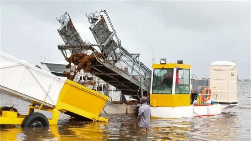 Water Hyacinth Salvage Vessel Weed Mower