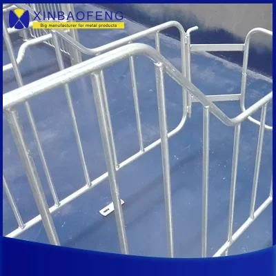 Pig Farm Design Pig Farming Business Plan Farrowing Pen Gestation Pen