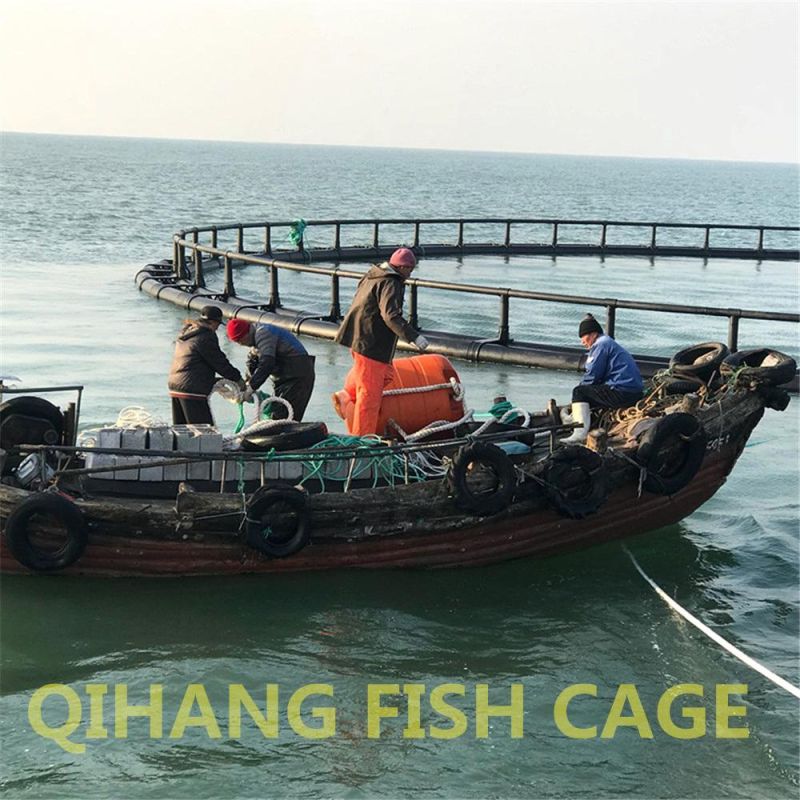 Circular Floating Fish Net Cage in Ocean Sea