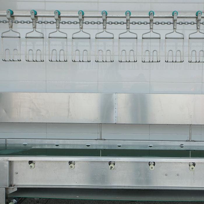Crates Hanging Chain Conveyor with Belt Type for Poultry Processing Plant and Slaughterhouse