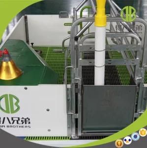 Pipeline Pigging Equipment High Strengh Galvanized Swine Farrowing Crates