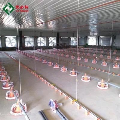 China Chicken House Designs with Automatic Broiler Breeding Poultry Equipment
