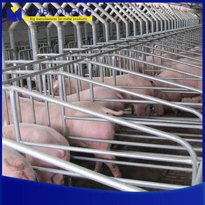 Swine Farm Pig Gestation/Farrowing/Nursery Crate