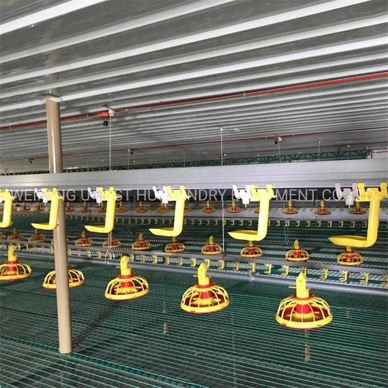 China Factory Full Automatic Poultry Farming Equipment for Chicken Shed