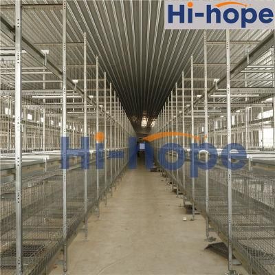 Modern Poultry Farm Automatic Broiler Layer Cage Equipment