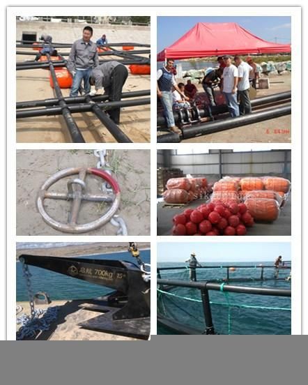 Square Floating Tilapia Catfish Farming Aquaculture Net Cage