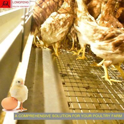 Durable and Sturdy Hot Galvanized Battery Pullet Layer Chicken Cage