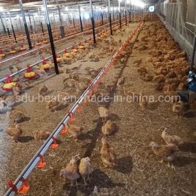 Chicken Farm Automatic Poultry Farming Equipment Supplier