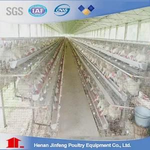 2017 Hot Sell Galvanized a Type Automatic Layer Poultry Chicken Cage for Poultry Farm