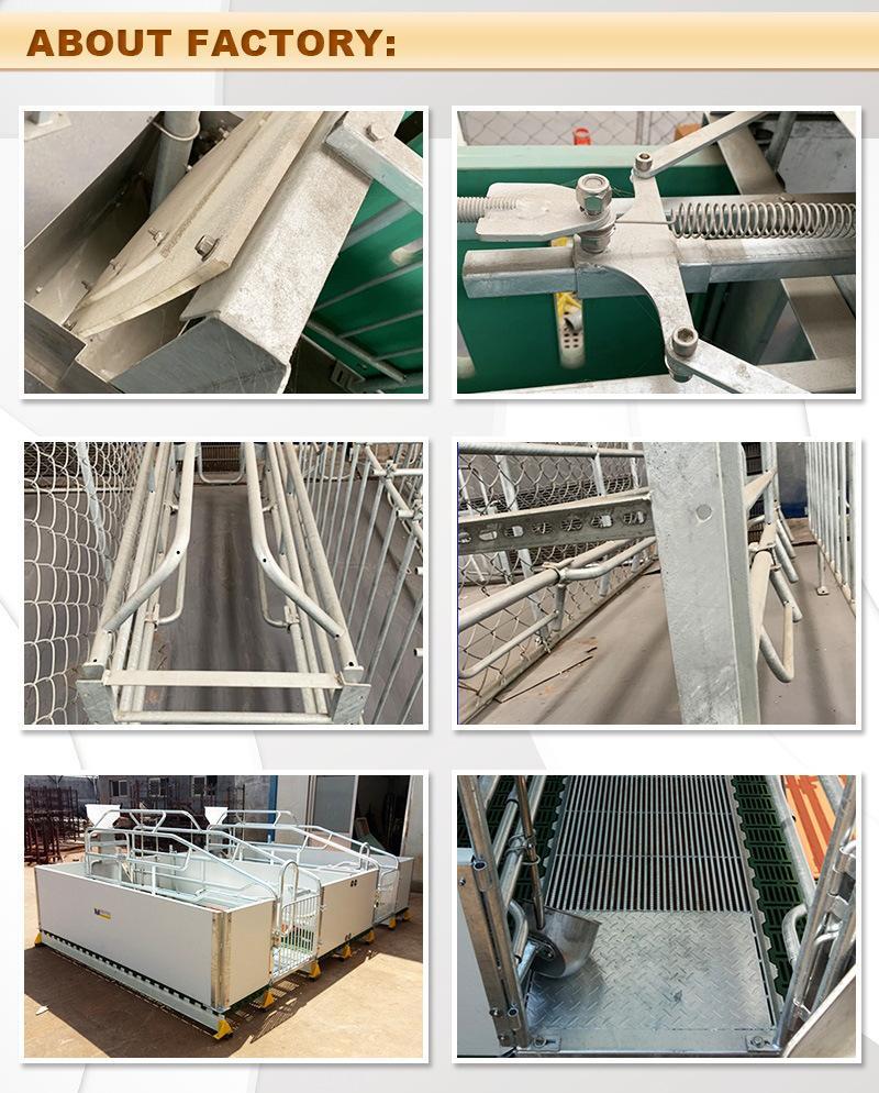 High-Quality Livestock Equipment, Pig Breeding Equipment, Galvanized Agricultural Equipment, Pig Farrowing Box/Pen