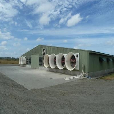 High Quality Easily Feeding Technical Low Cost Chicken System