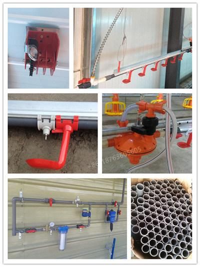 Poultry Farm Automatic Egg Collection Equipment with Egg Belt for Poultry Farm