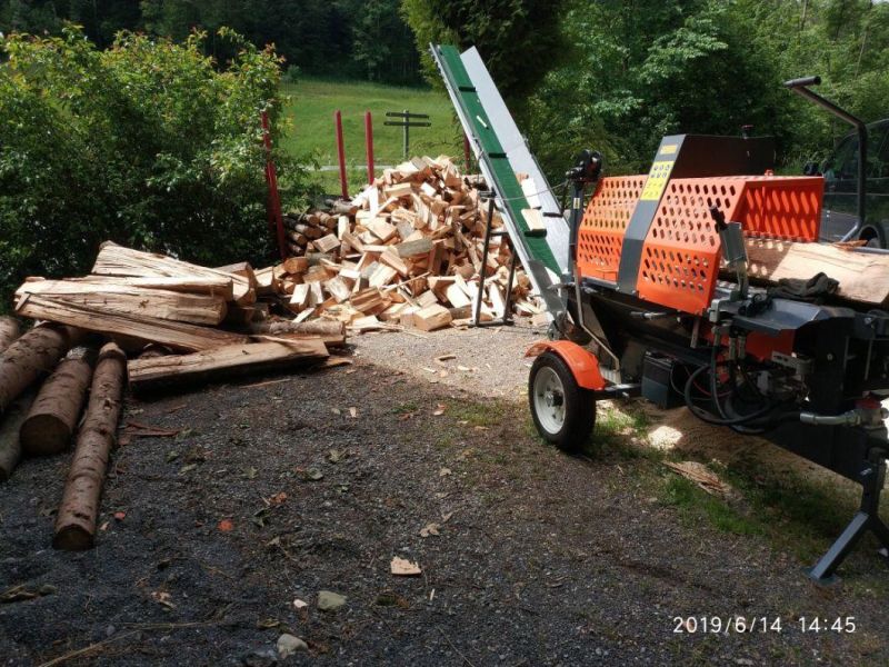Rima Log Splitter Firewood Processor with Hydraulic Log Table