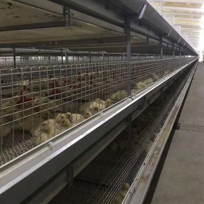 China Factory Price Poultry Farm Equipment Prefab Chicken Steel Structure Animal Cages for Sale
