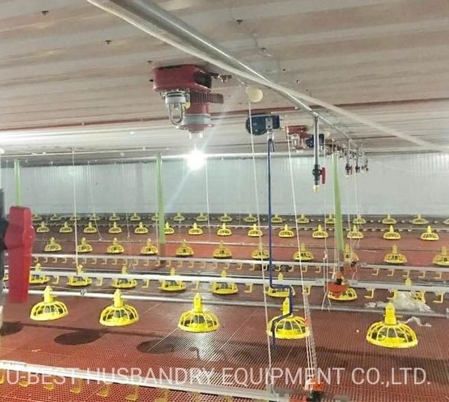 Poultry Broiler Chicken Farm Fully Automatic Farming Feeding/Drinking Line System Equipments