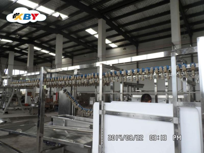 Compact Slaughtering Line for Poultry Processing. Best Quality with Lowest Price.