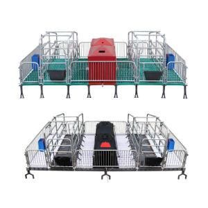 Pig Equipment Farrowing Crate for Poultry Farm of Sows
