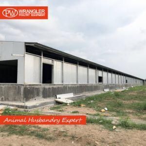 professional Steel Structure Poultry Farm Construction