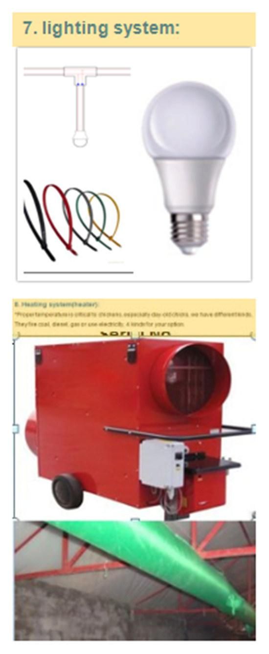 Factory Supply Broiler Chicken Equipment with Low Cost