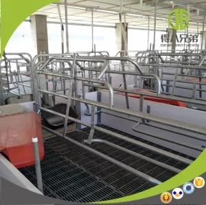 European Style Galvanized Anti-Corrosion Crate Use for Morden Pig Farm