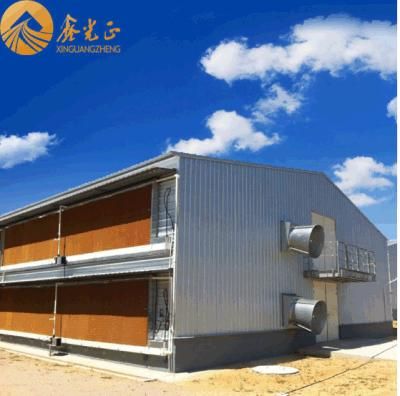 Prefabricated Steel Structure Chicken House (PCH-1)