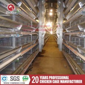 Broiler Chicken Cage Automatic Poultry Equipment for South American Farm