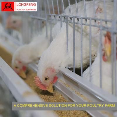 Local After-Sale Service in Asia Poultry Farm Layer Cages Cage Equipment
