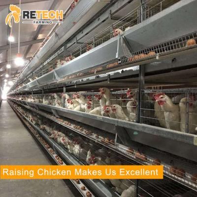 RETECH Farming automatic layer chicken battery cages poultry farm equipment