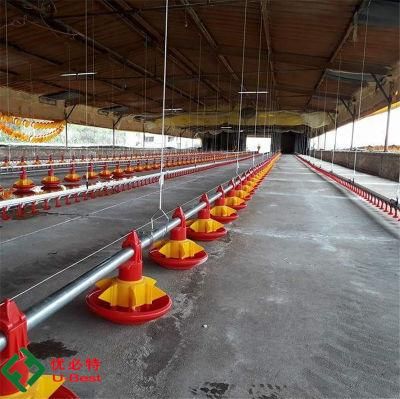 Broiler Breeder Equipment Application Set Chicken Poultry Farm Equipment for Sale