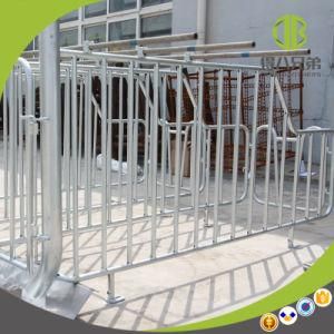 Pig Equipment Sow Limitation Stall Hot Galvanized Gestation Stall