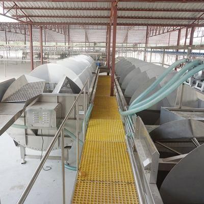 Chicken Slaughtering Evisceration Pre Cooling Washing for Automatic Poultry Chicken Slaughtering Line