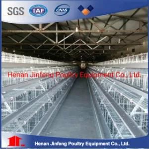 Hot Galvanized Africa Poultry Farms Automatic Chicken Layer Bird Cage