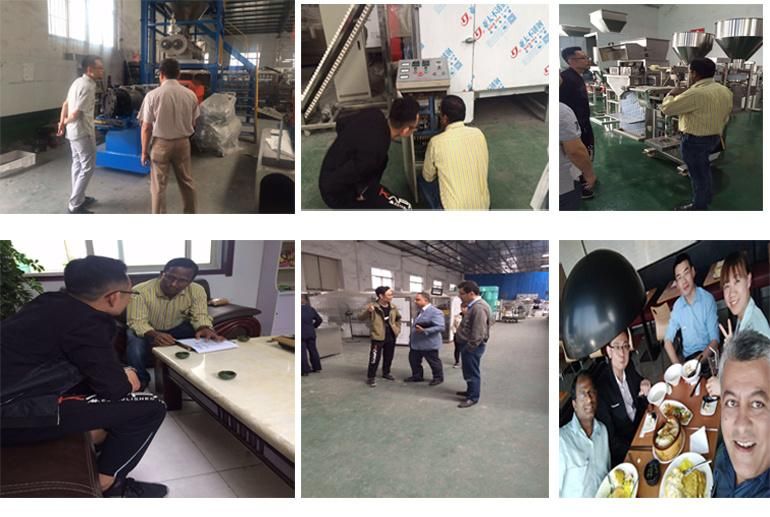 High Quality Pet/Animal/Fish/Dog Feed Device Production Line