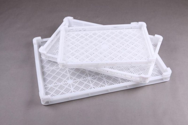 Frozen Plate for Dressing Plant for Broiler Dressing Plant for Chicken