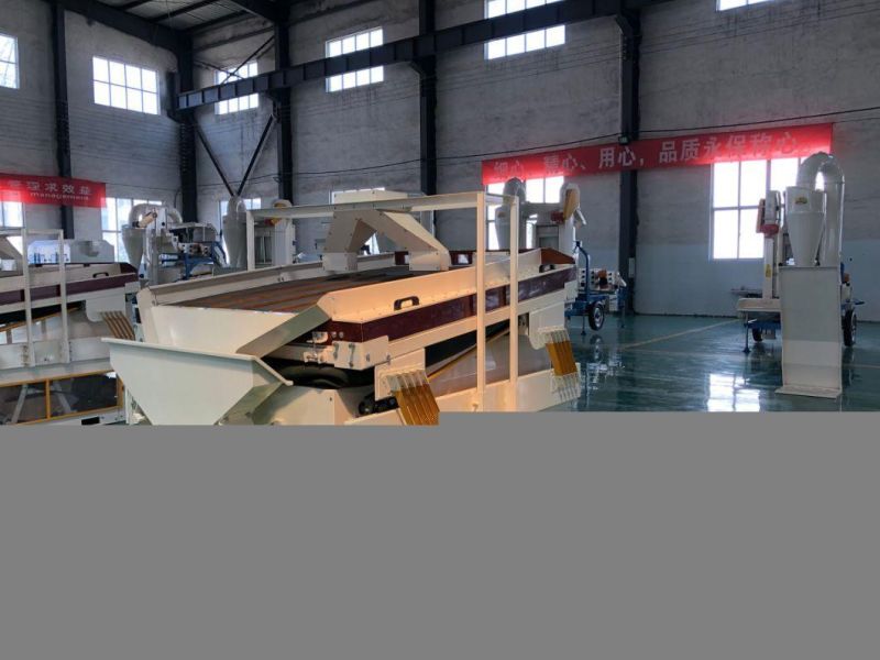 Oat Maize Seed Destoner Machine