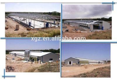 Steel Structure Poultry House / Chicken House