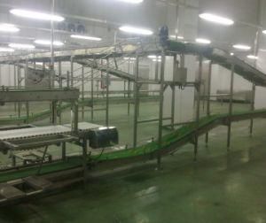 100 Pig Per Day Pig Slaughterhouse Equipment Pig Slaughter Line