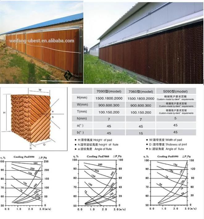 Hot Sale Gold Supplier Poultry Farming Equipment for Chicken House