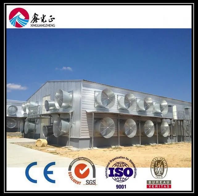 Chicken House Layer House / Automatic Chicken Layer Feed House (BYPH-220530005)