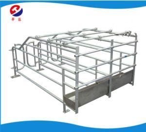 Pig Farming Gestation Pen Hot Dipped Galvanized Sows Gestation Stalls to Canada
