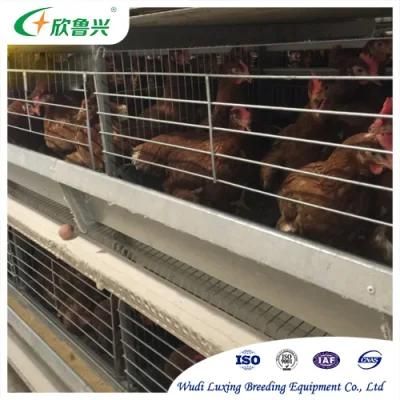 Best Price H Type Full Automatic Battery Chicken Cage for Layer Poultry Farming