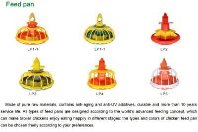 Chicken Farm House Automatic Pan Feeder Line