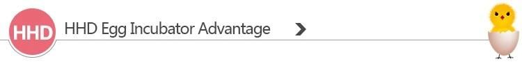 Hhd LCD Display Including Hatching Days Thermoregulators Holland Egg Tester for Incubator