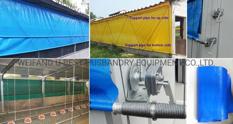 Steel Structure design Poultry Farm Shed with Chicken Broiler Equipment