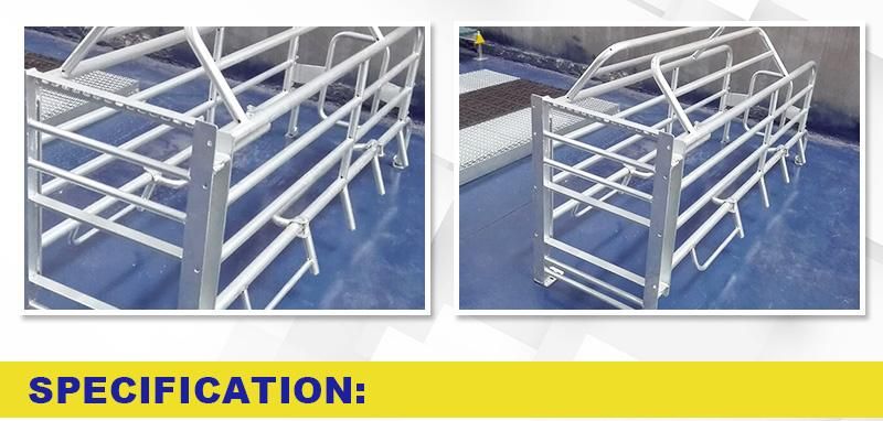 High Quality Hot Dipped Galvanized Tubes Pig Farrowing Crate for Sale